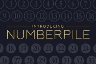 Numberpile Font - Quirky Display Typeface by Typodermic